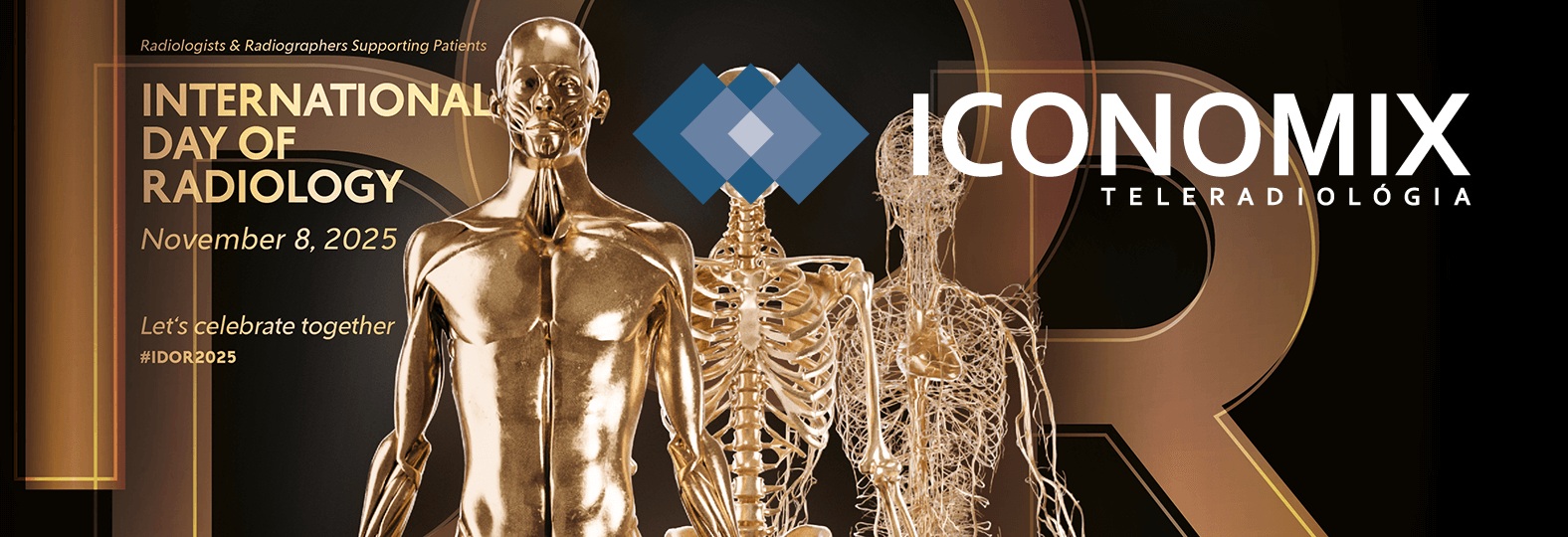 IDOR Poster 2025 Page banner ICONOMIX