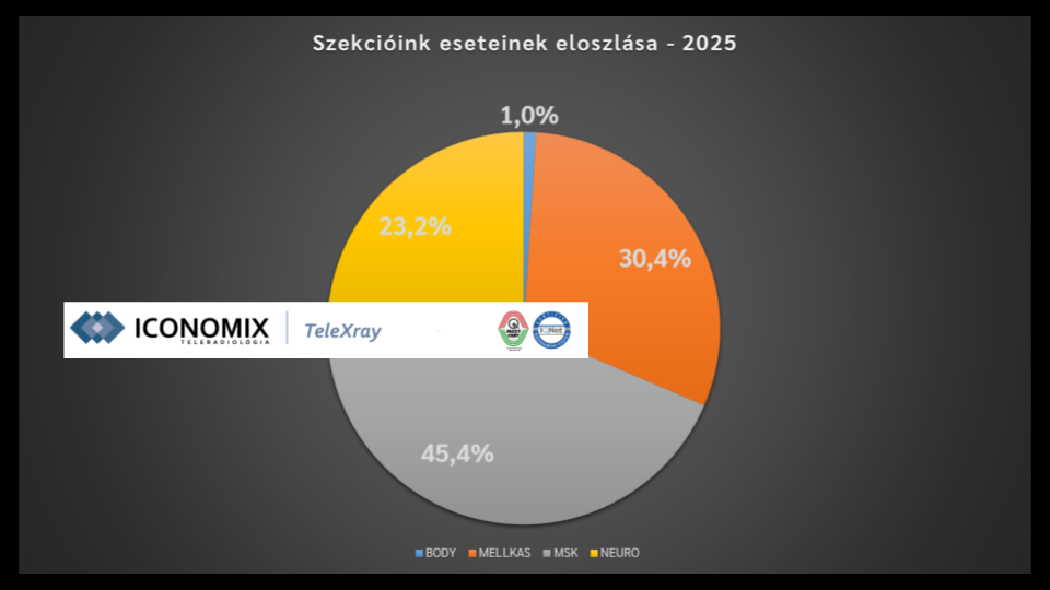 2025 éves beszámoló TeleXray Public 7